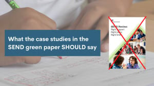 What the case studies in the green paper SHOULD say