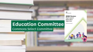 IPSEA's chief executive gives evidence to the Education Select Committee